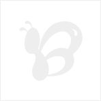 彩绘达人DIY数字油画 江南水乡系列5000款新品代理，厂家直供代发货全攻略