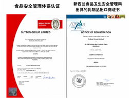 纽贝斯特 以洋工厂赋能中国品牌，探索网上贸易代理新路径